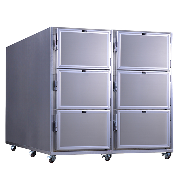 Mortuary Fridge For Sale Stainless Steel 6 Bodies Mortuary